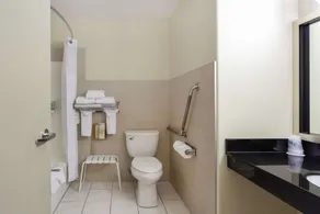 Best Western High Road Inn - Badezimmer