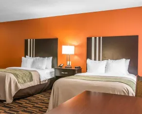 Comfort Inn Maumee - Perrysburg Area - Chambre