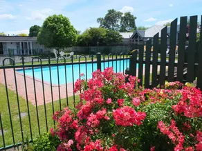 Colonial Court Motel - Pool