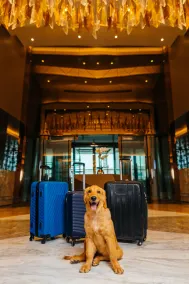 Hilton Bahrain - Reception