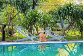 Trang An Spring Garden Homestay - Piscina