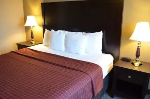 Comfort Inn Detroit Downtown - Chambre