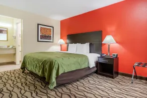 Quality Inn & Suites Lexington - Chambre