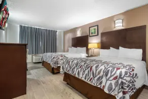Red Roof Inn La Marque - Texas City - Room