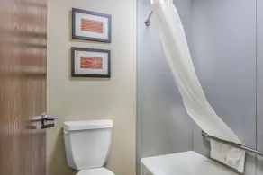 Comfort Inn & Suites Crystal Inn Sportsplex - Salle de bain