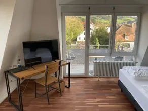 Bike- und Ferienhotel Freiburg - Vista dalla camera