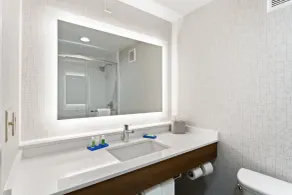 Holiday Inn Express Hopewell - Fort Lee by IHG - Badeværelse