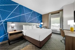 Comfort Inn Kingsport Southeast - Rom