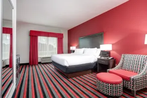 Holiday Inn & Suites Lafayette North by IHG - Chambre