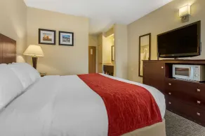 Comfort Inn & Suites North Tucson Marana - Chambre