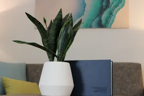 Homewood Suites by Hilton Chula Vista-Eastlake - Chambre