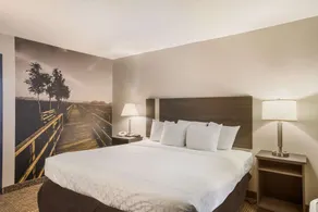Clarion Pointe Forsyth I-75 - Chambre