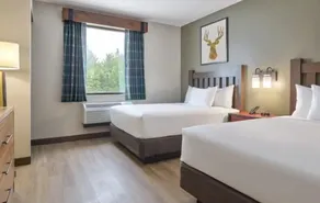 Great Wolf Lodge Naples - Værelse