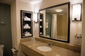 Wyndham Garden Erie - Badezimmer