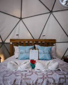 Hotel Faith Glamping Dome Costa Rica - Room