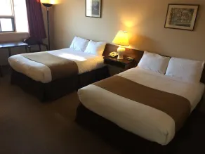 Siesta Motel - Room