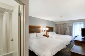 Hampton Inn Columbia-I-26 Airport - Chambre