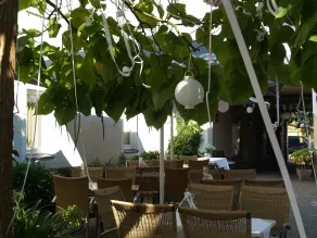Hotel zum Schwan - Restaurant
