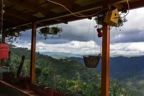 Panchachuli House - Terrace/patio