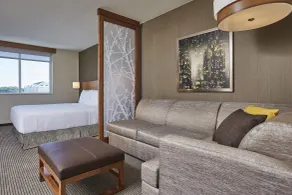 Hyatt Place Toronto Mississauga and Luxe Convention Centre - Chambre