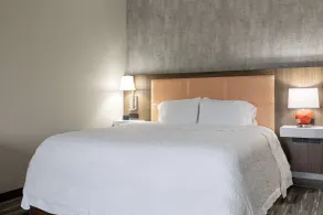 Hampton Inn Knoxville-West At Cedar Bluff - Chambre