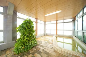 Hotel Hayashi - Spa