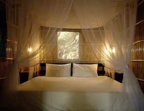 Gala Gala Eco Resort - Room