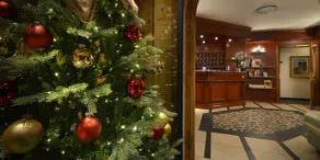 Hotel Primula - Recepción