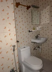 Shiva Guest House - Baño