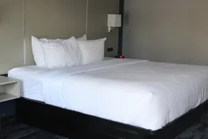 Quality Inn Scottsboro US-72-Lake Guntersville Area - Room