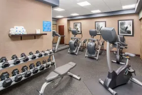 Wyndham Garden Elk Grove Village - O'Hare - Fitness facility
