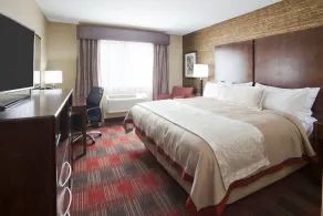Gateway Park Hotel and Suites - Sioux Falls -Tea - Værelse