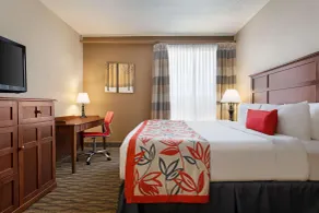 Ramada by Wyndham Fredericton - Chambre