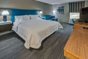 Hampton Inn Orlando-Maingate South - Chambre