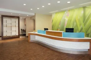 SpringHill Suites by Marriott Tuscaloosa - Réception