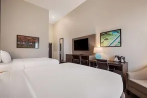 La Quinta Inn & Suites by Wyndham Sulphur Lake Charles - Chambre