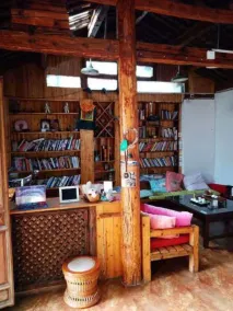Pure Yard - Reception