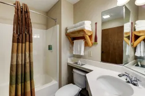 Stoney Creek Hotel Quad Cities - Moline - Salle de bain