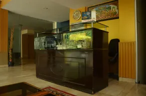 Hotel samrat - Réception