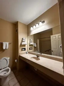 Plantation Oaks Suites & Inn Millington - Salle de bain