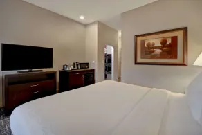Hilton Garden Inn Twin Falls - Chambre