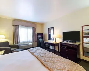 Quality Inn & Suites Kerrville - Chambre