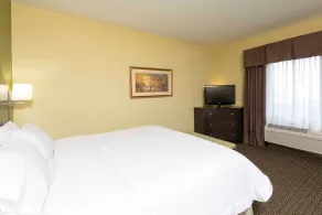 Hampton Inn & Suites Danville - Chambre