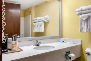 Quality Inn High Point - Archdale - Salle de bain