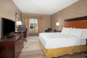 Holiday Inn Express Hotel & Suites Littleton by IHG - Chambre