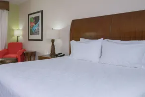 Hilton Garden Inn Valley Forge/Oaks - Chambre