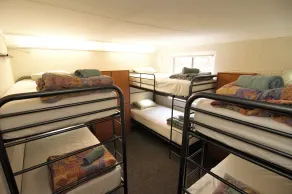 Kangaroo Inn - Room