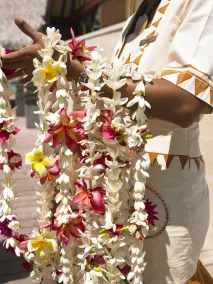 Four Seasons Resort Bora Bora - Reception