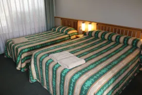 Hermitage Motel - Room
