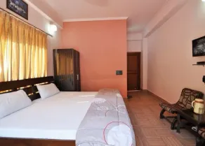 Sapphero Chanakya Resort - Camera